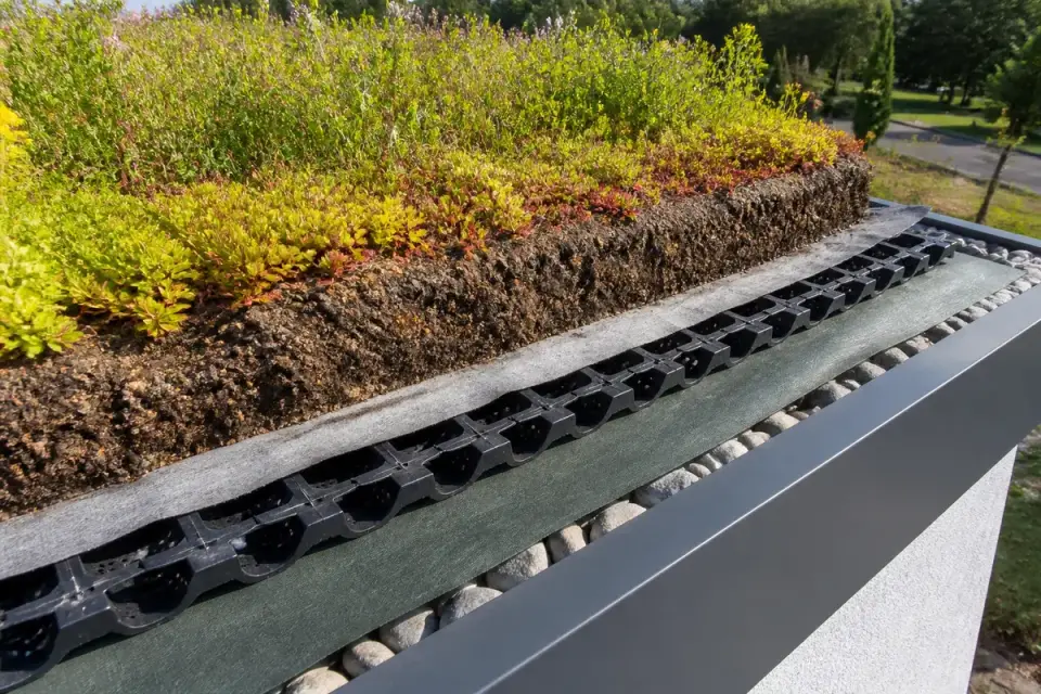 Toit végétalisé avec substrat, drainage et végétation sur une structure moderne. Vue en coupe et détails visibles.